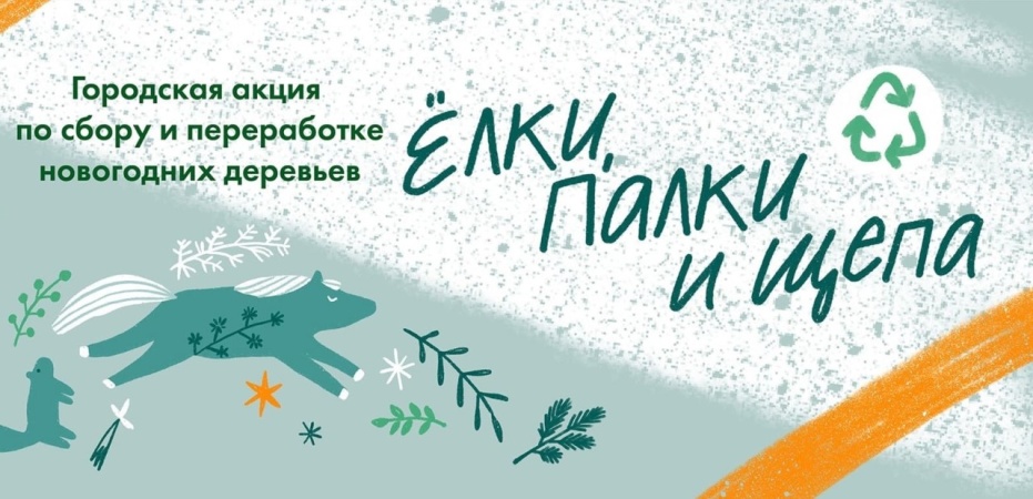 В январе 2026 года в Санкт-Петербурге пройдёт акция «Ёлки, палки и щепа» по сбору и переработке новогодних хвойных деревьев