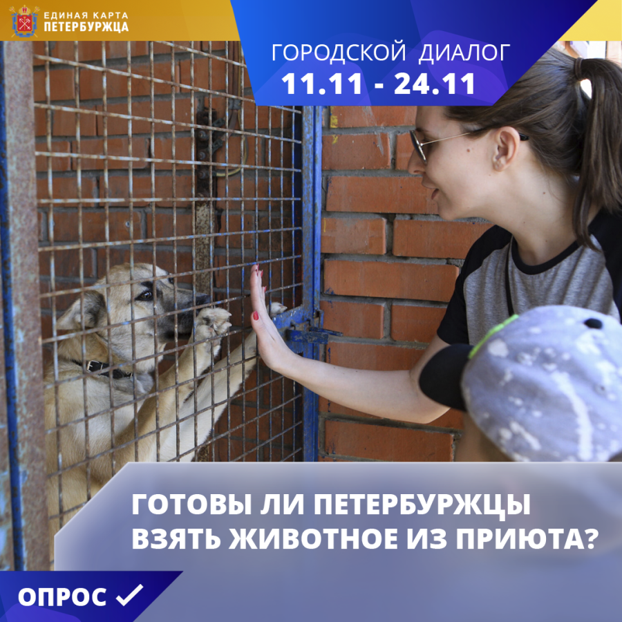 С 11 по 24 ноября на портале ekp.spb.ru и в мобильном приложении Единой карты петербуржца проходит новый опрос «Готовы ли петербуржцы взять животное из приюта»