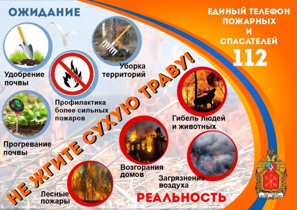 Го и ЧС