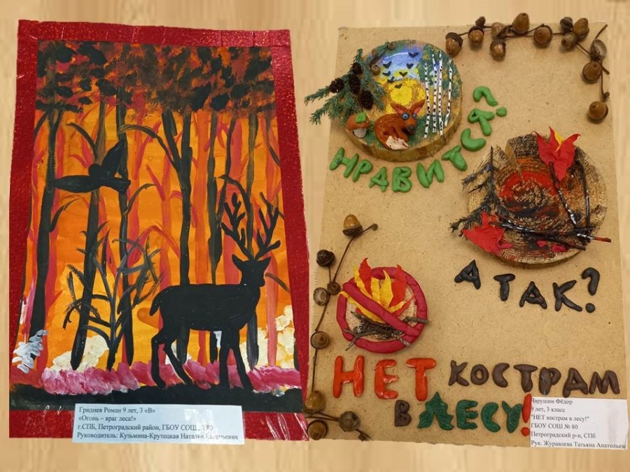 В Петроградском районе Санкт-Петербурга подведены итоги районного этапа Всероссийского конкурса детско-юношеского творчества по пожарной безопасности «Неопалимая Купина 2022-2023».