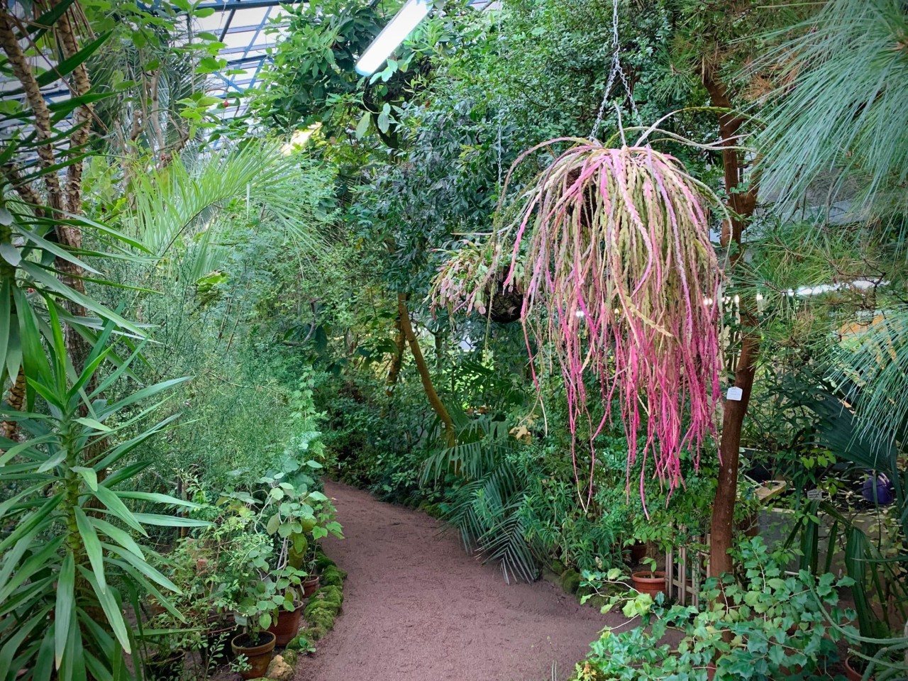 Бин ран ботанический сад